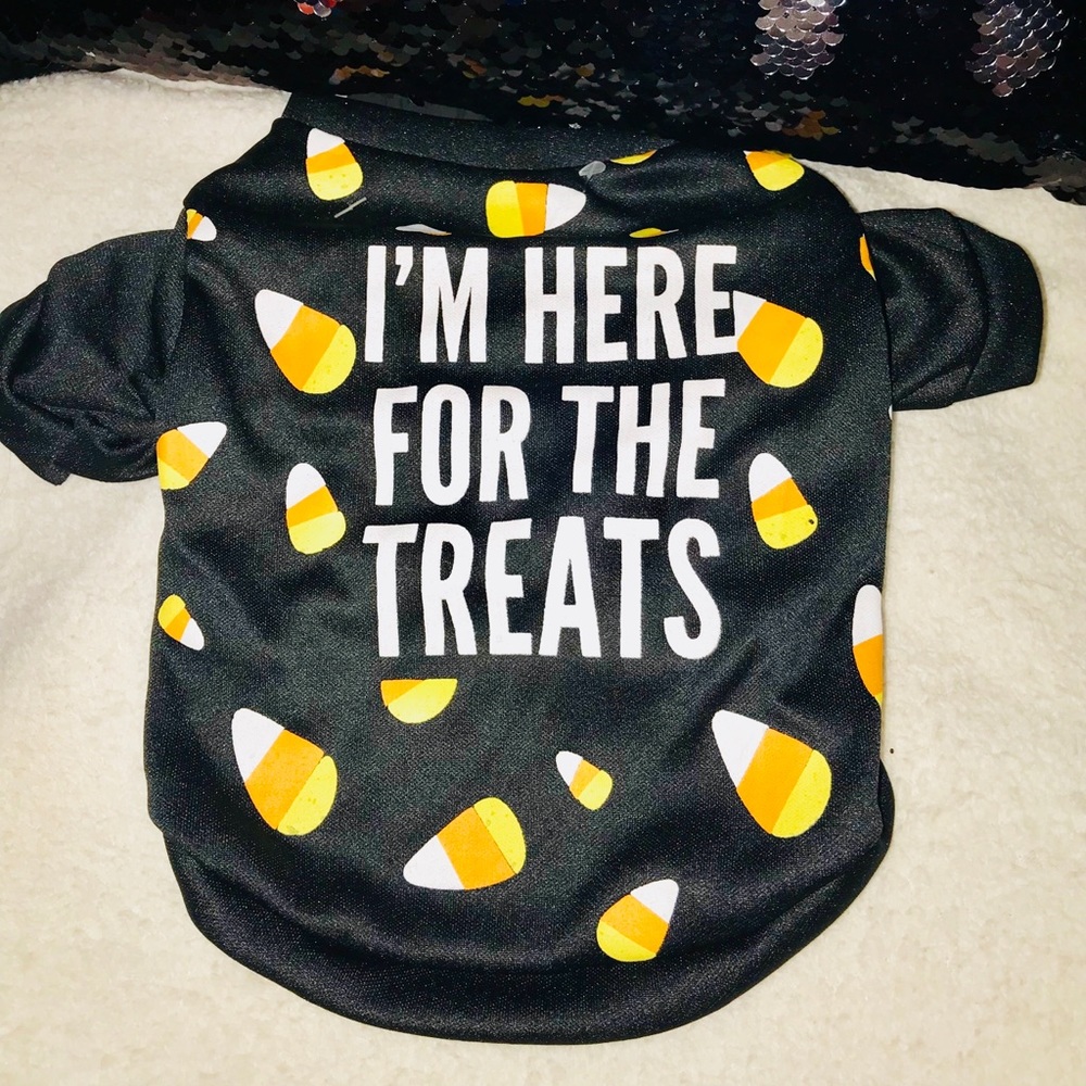 Pet Costume Halloween